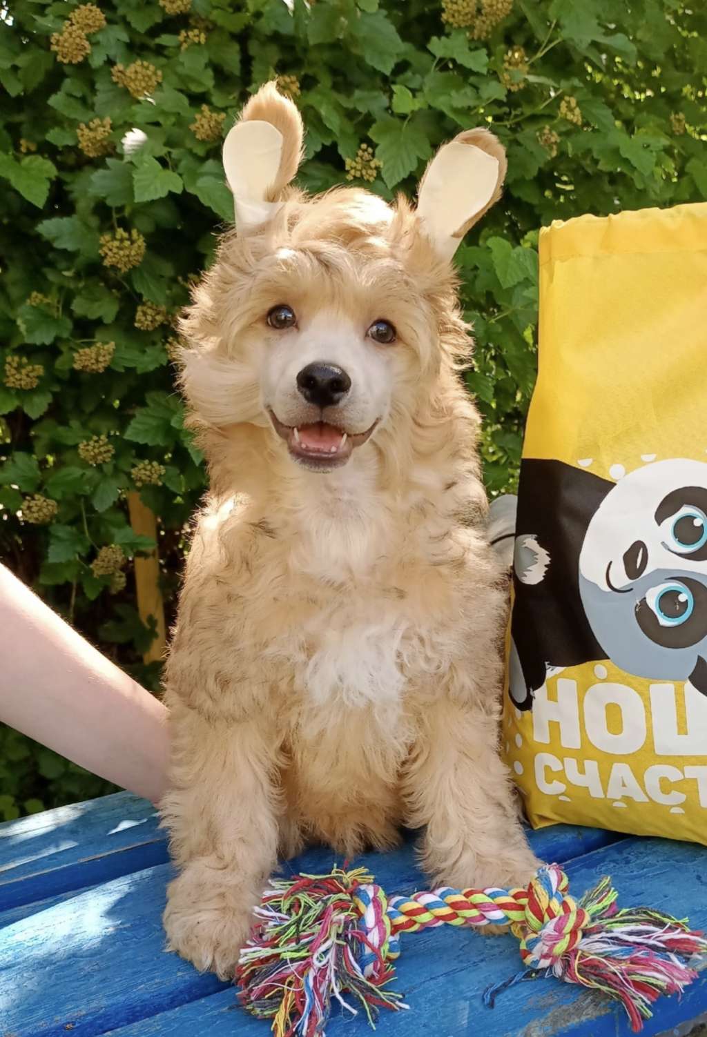 Ilatani Style Pierre