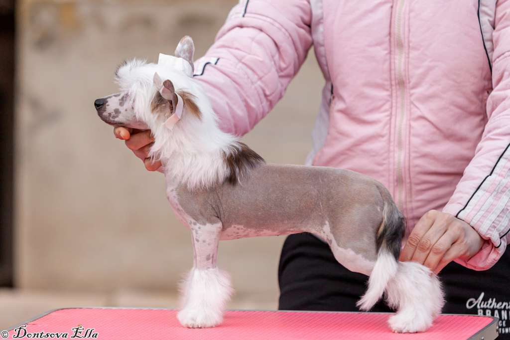 Lurdes iz Sozvezdiya Khana