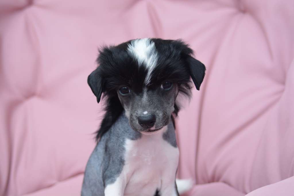 Fejmants En Reko Lite Grabb