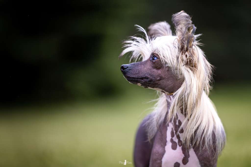 U Are Tressure Of Queen Malverne