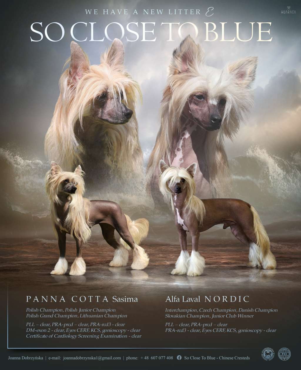 Elmondo So Close to Blue