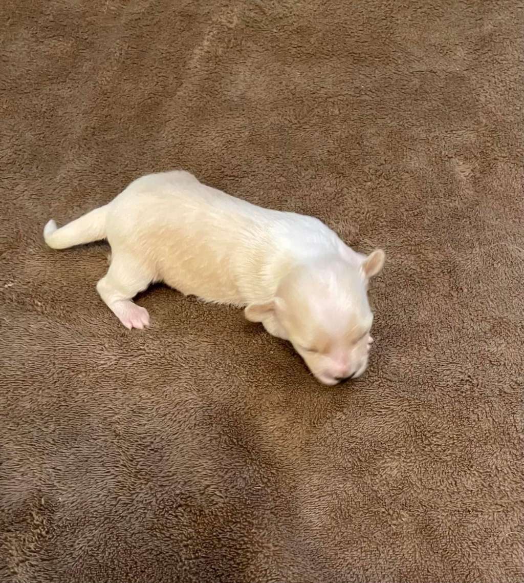 Sassytails I Was Chilled & Now I?m Hot