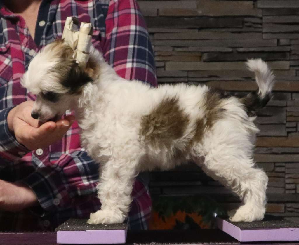 Swifthaven A Little Envious At Shantel