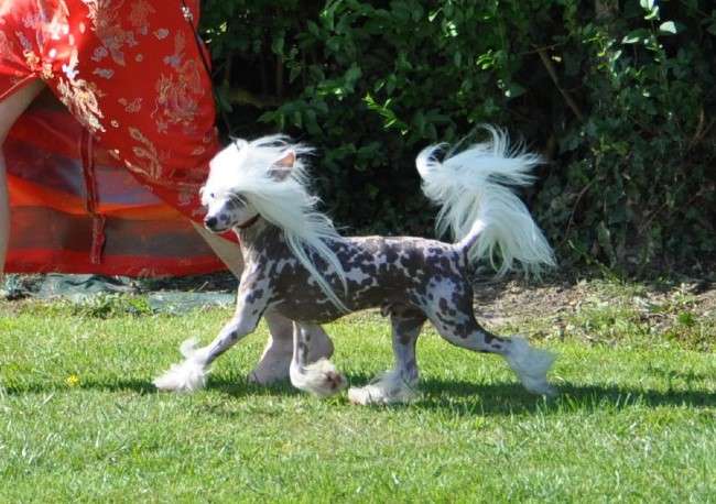 Un point c'est toi Little Champs