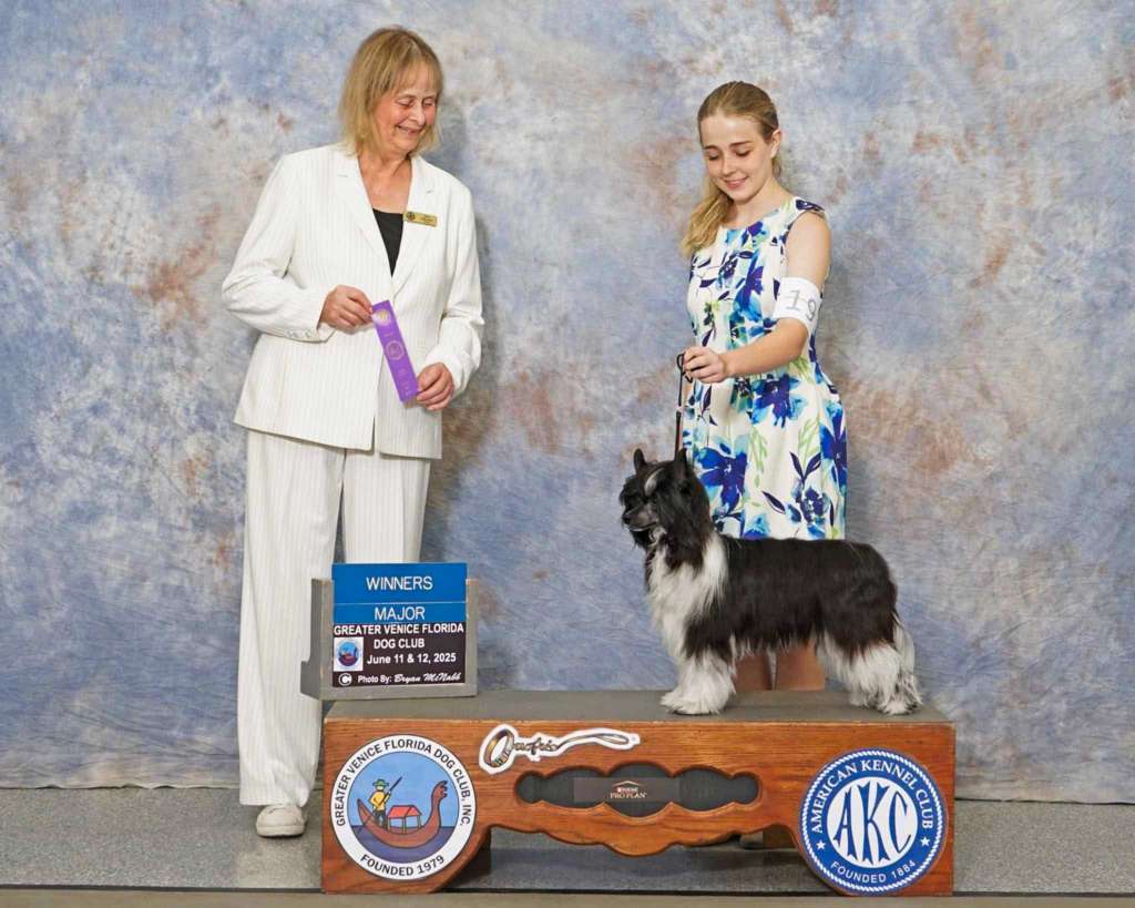 Blanch-O Kaylen Ariella Some Fin Special