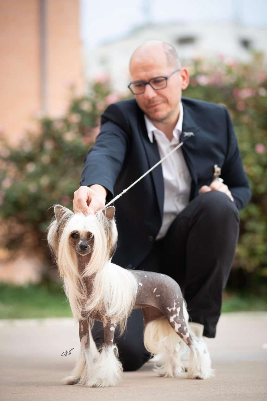 MCh. Magnus Staff Madonna Santa