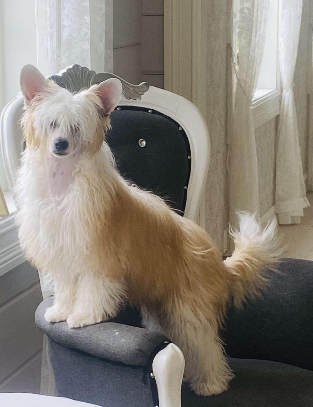 Moelmo?s Greatest There Is