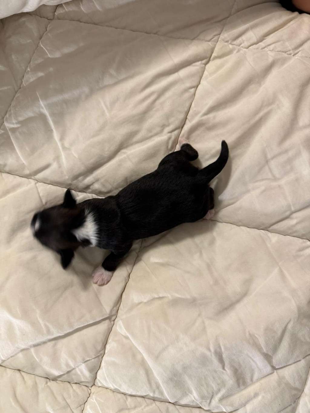 Jamming's Unforgiven