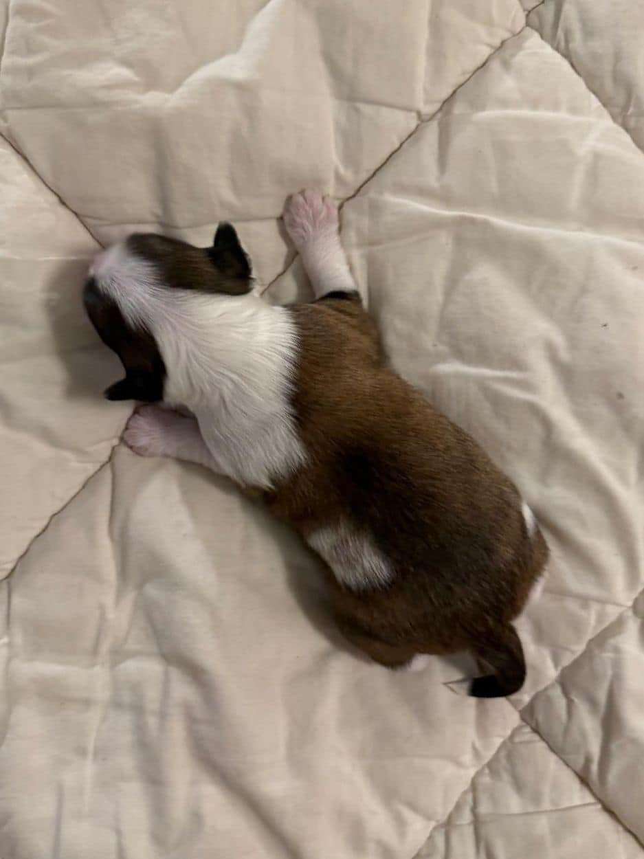 Jamming's Unbelievable