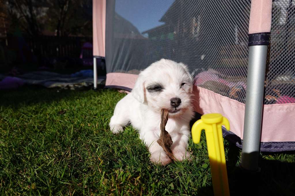 Cute Heartbreakers Bombay Special Night