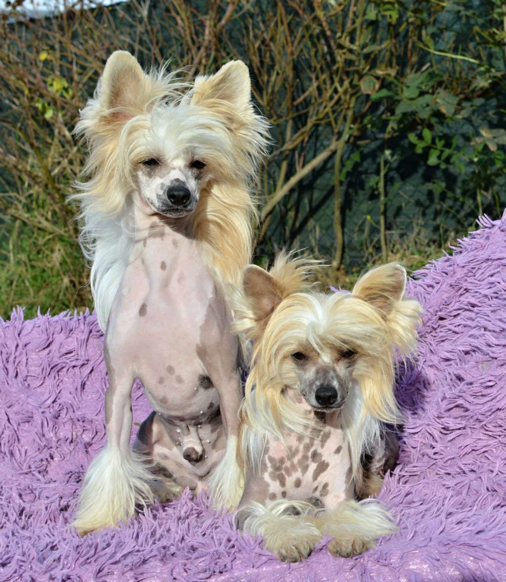 You Are My Sunshine z Andelovy dlane