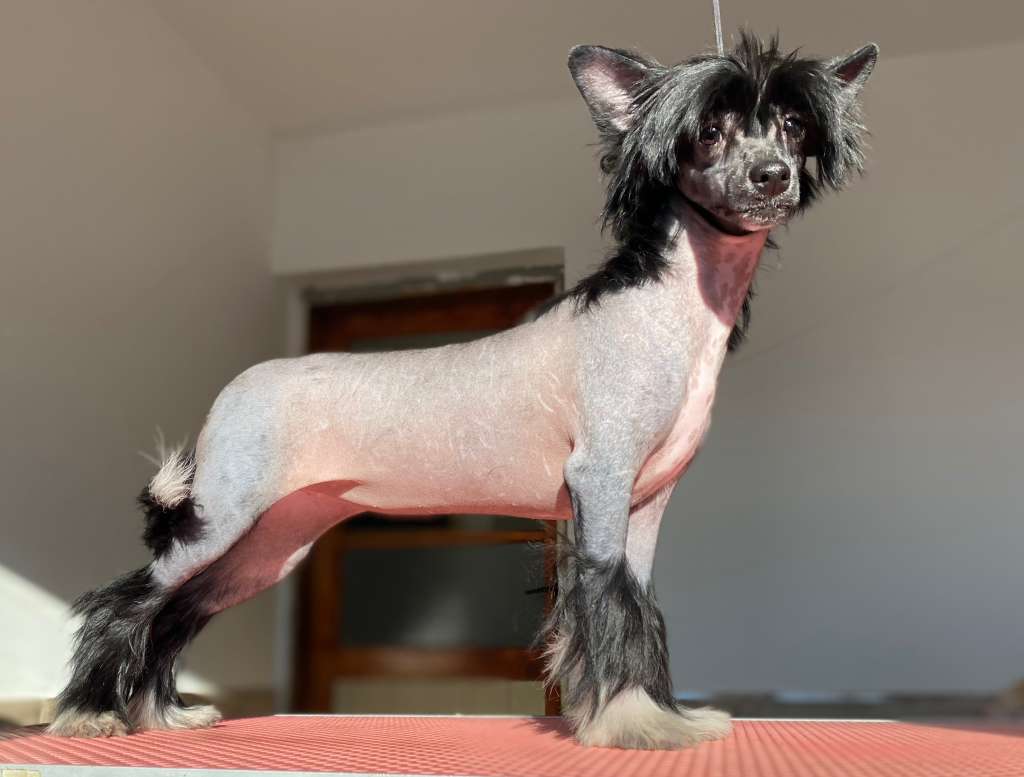 Famrus N Kellyn Mad about you