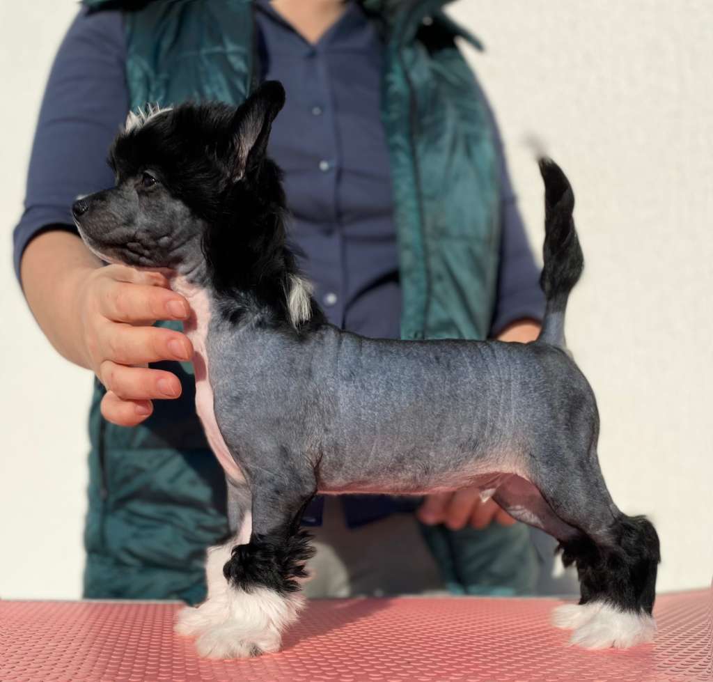 Famrus Nothing Compares To U