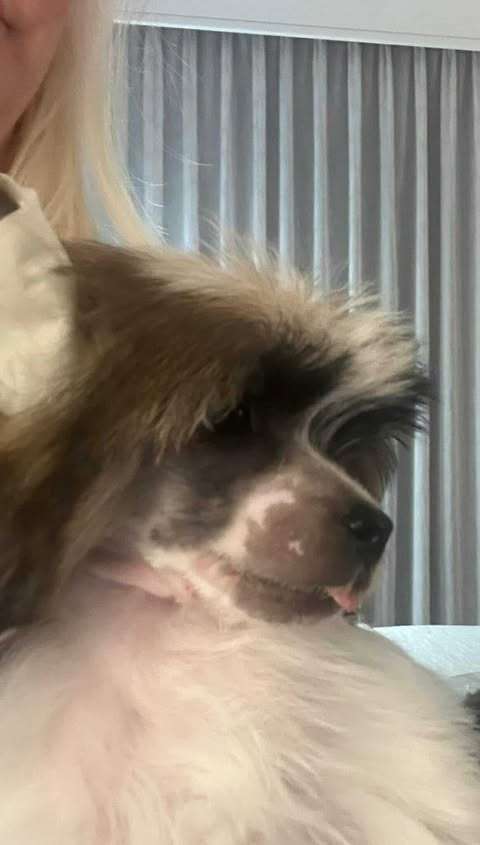 EverCrest's I'm all that