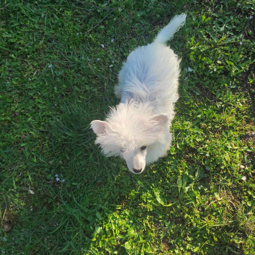 Fundoklia-völgyi Kaszanics Serena