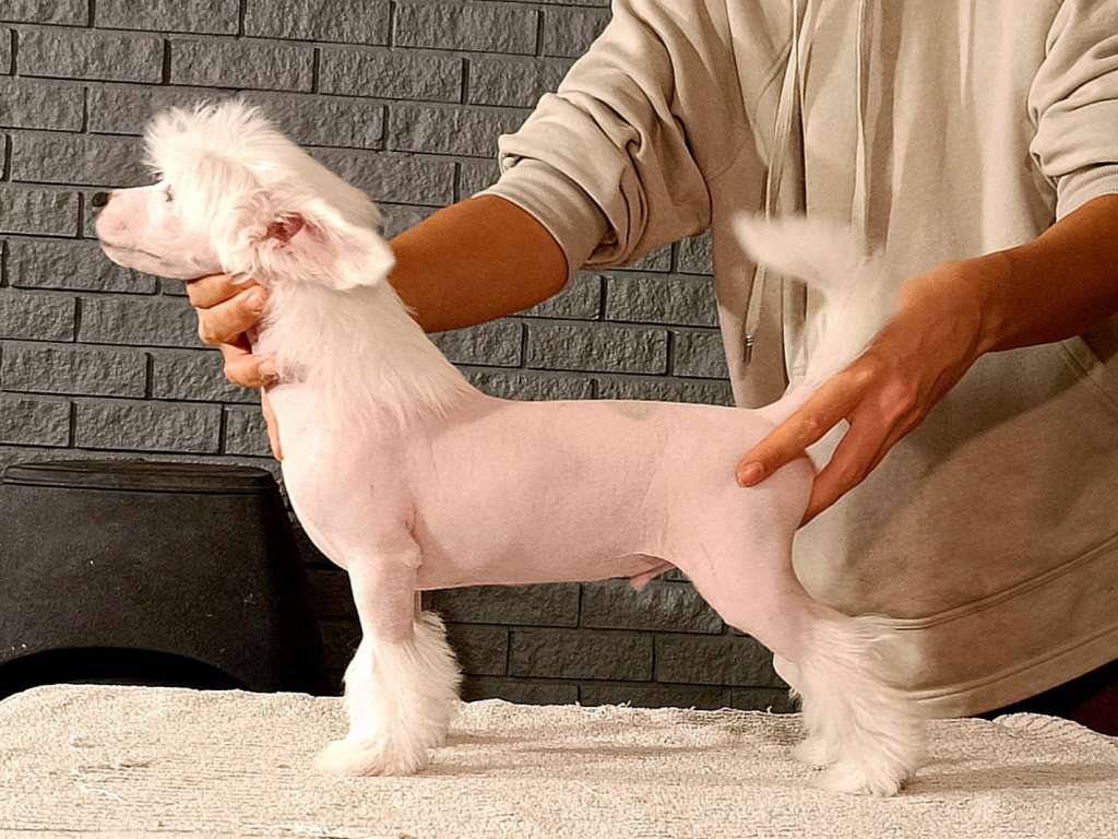 Cerohair is in the building