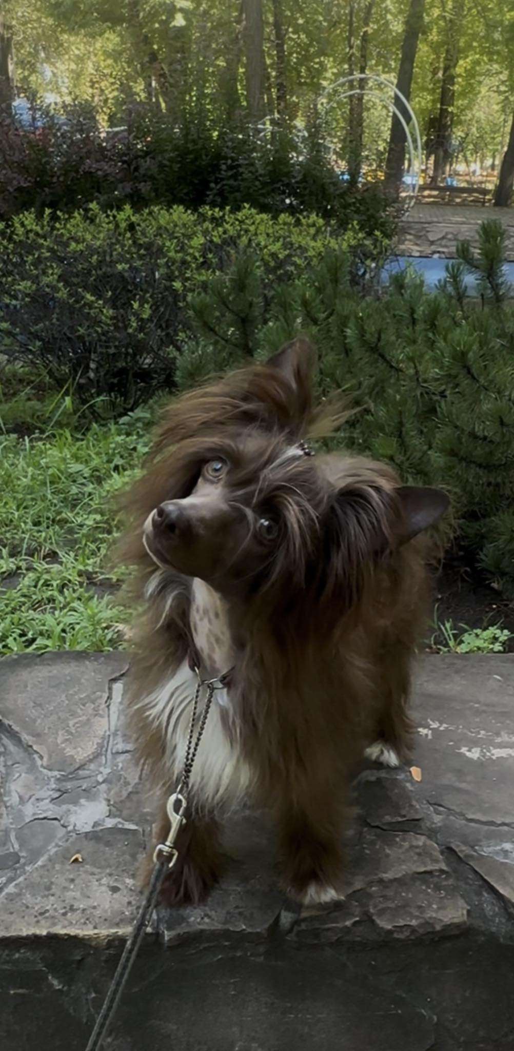 Naiad Fortuna Furswood