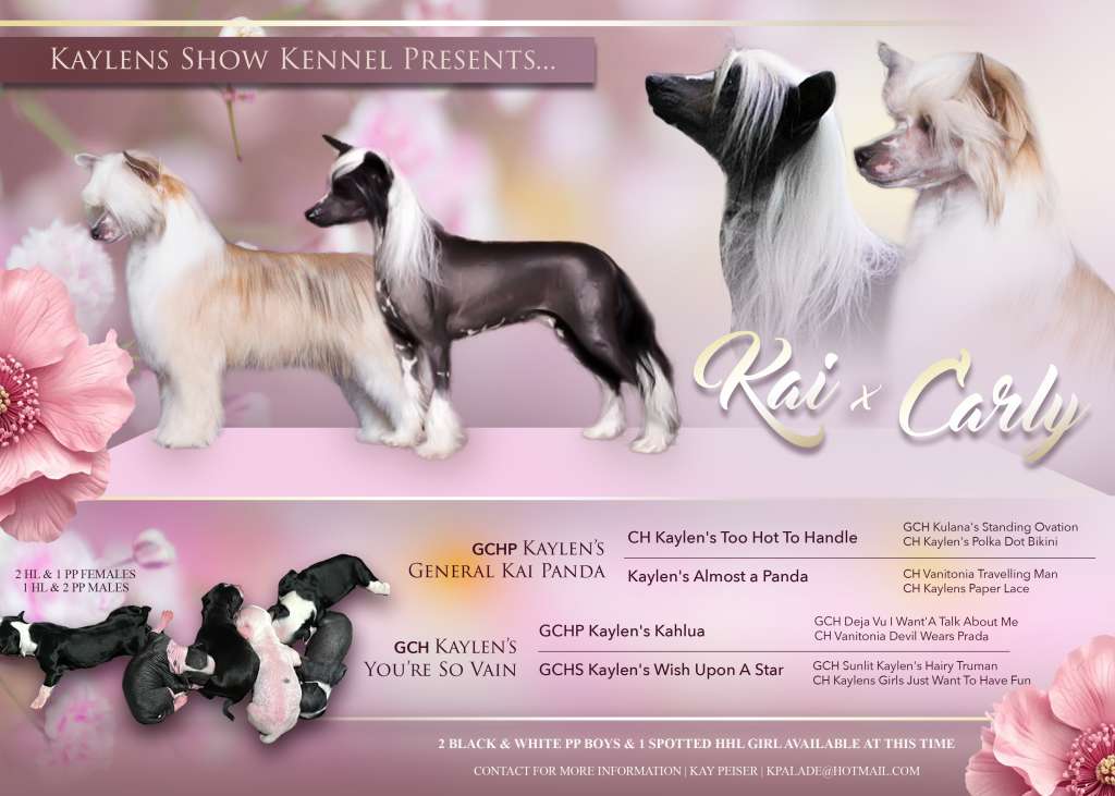 Kaylens Youre So Vain