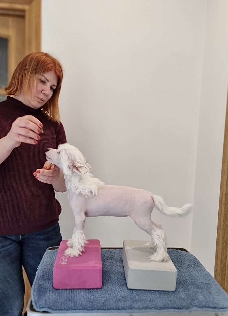 AkDeniz Endless Story