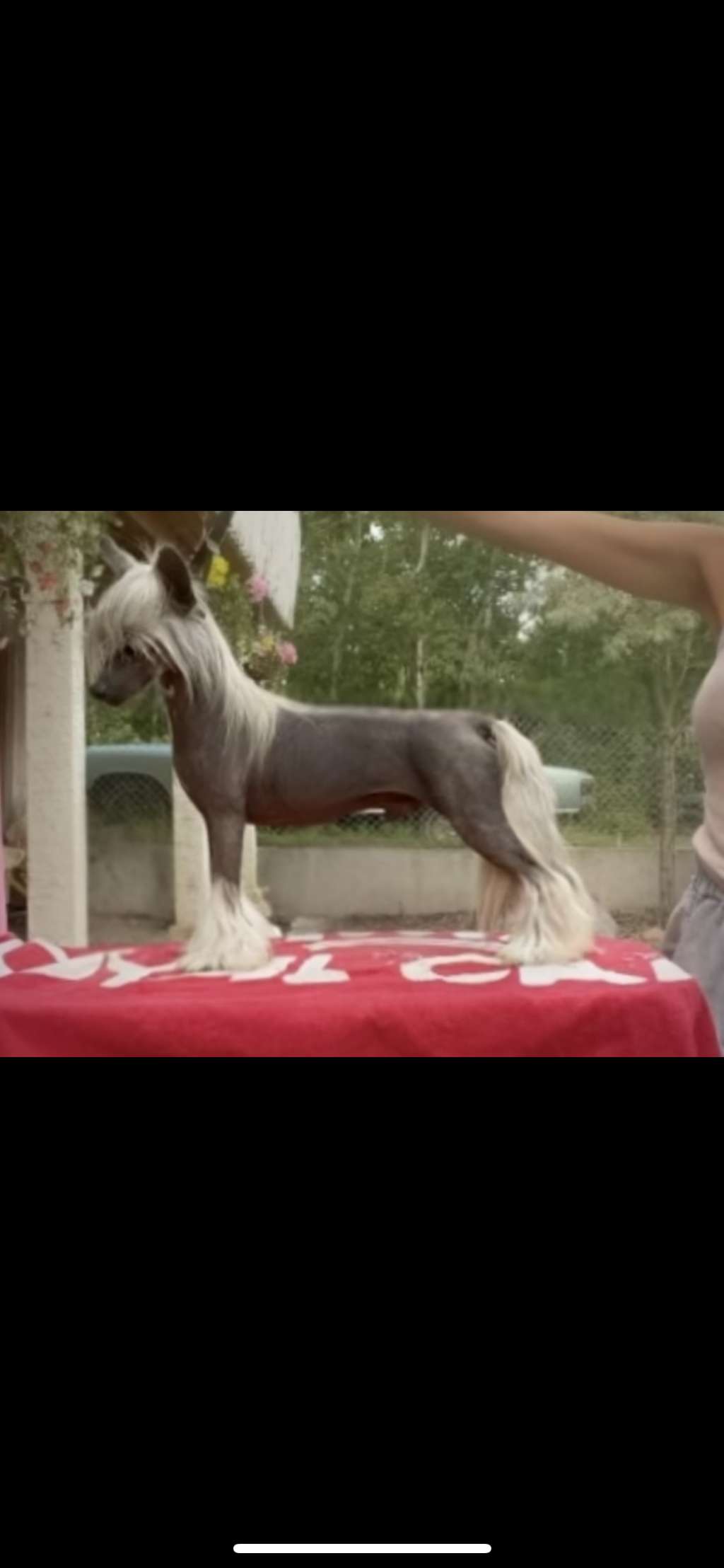 Cristall God Of Dreams