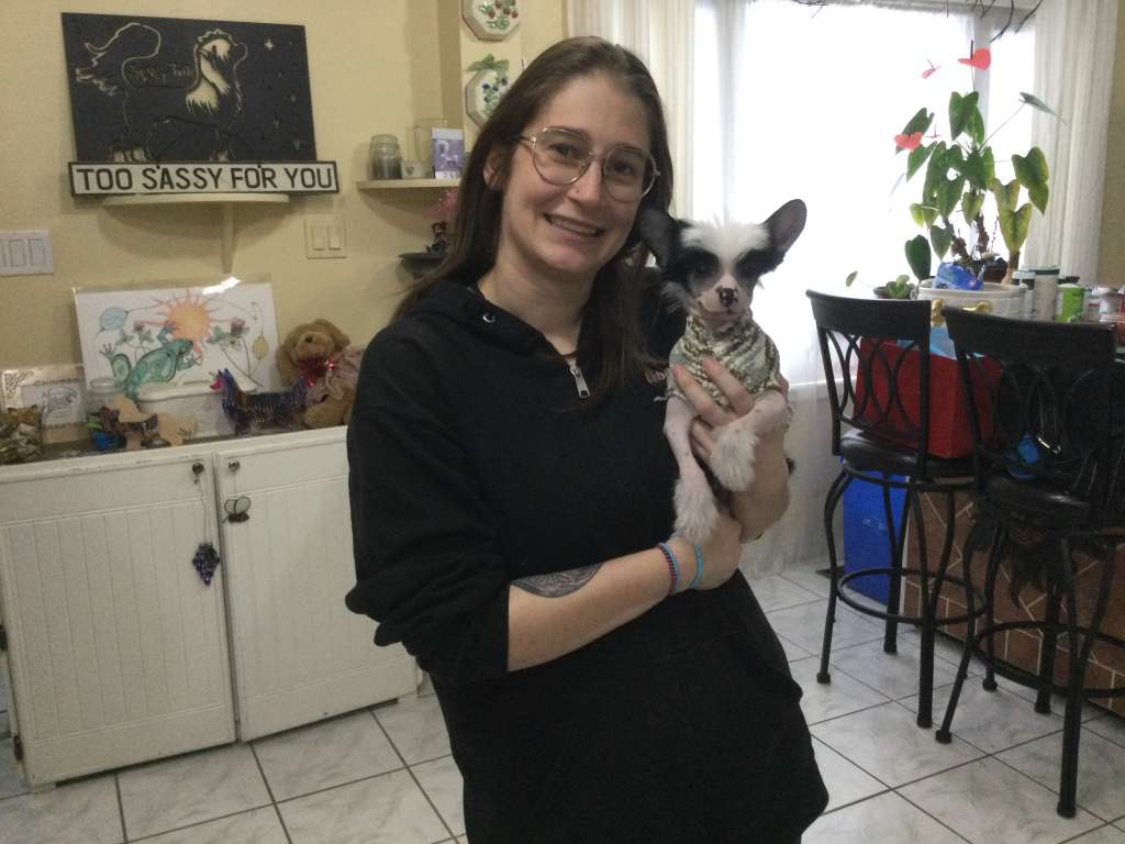 Sassytails Don t Feed Gizmo After Midnight