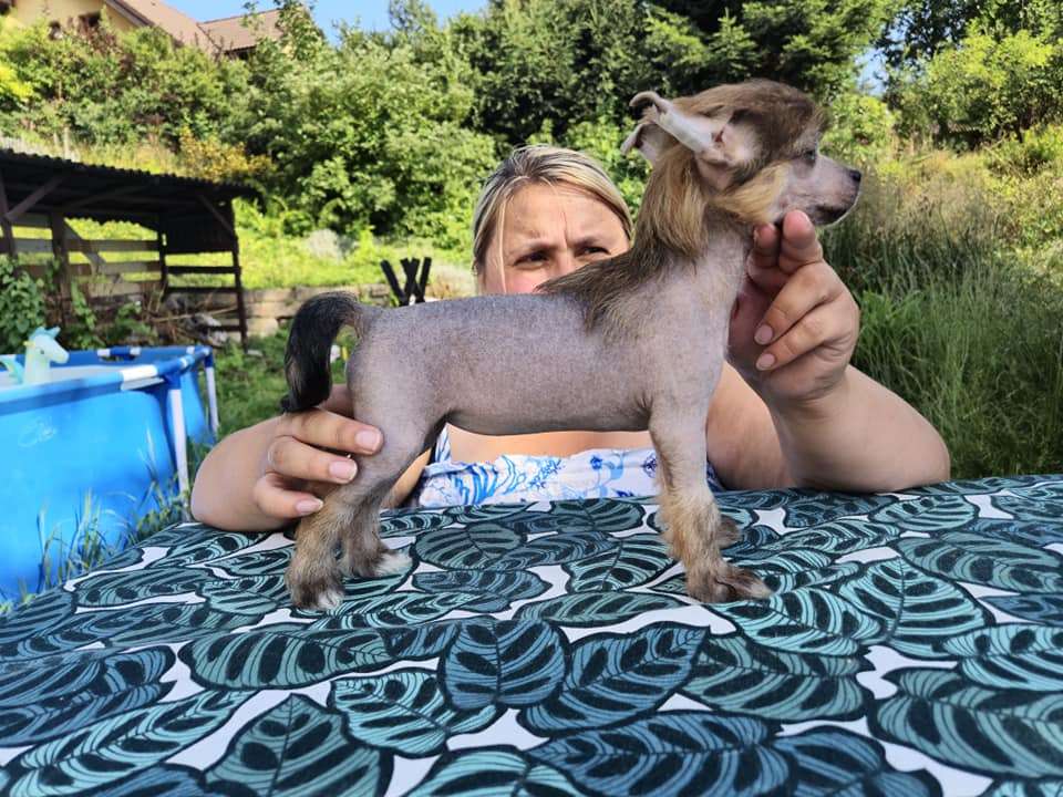 Hilda Ze Zlocistego Raju