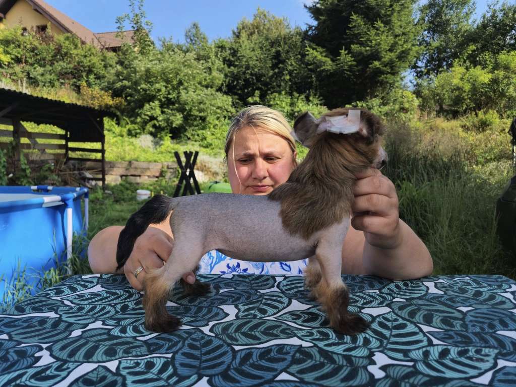 Hermiona Ze Zlocistego Raju