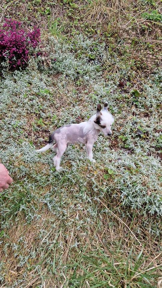 Egon Ze Zlocistego Raju