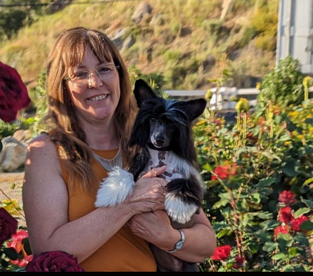 Crest-Vue Electrically Charged