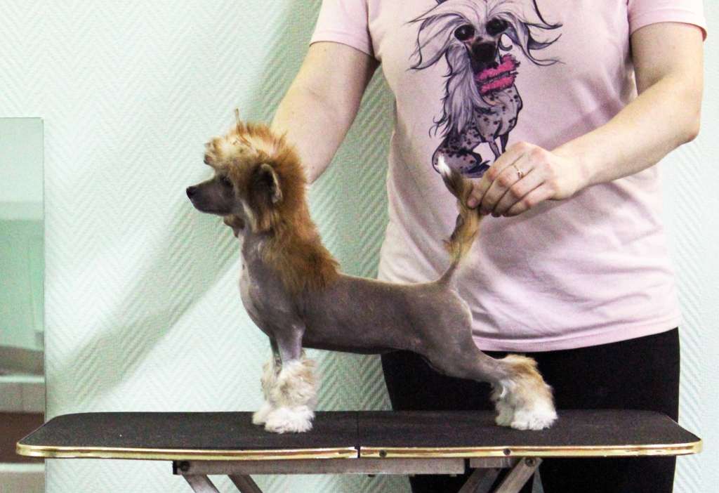 Via Della Seta Neon Blue