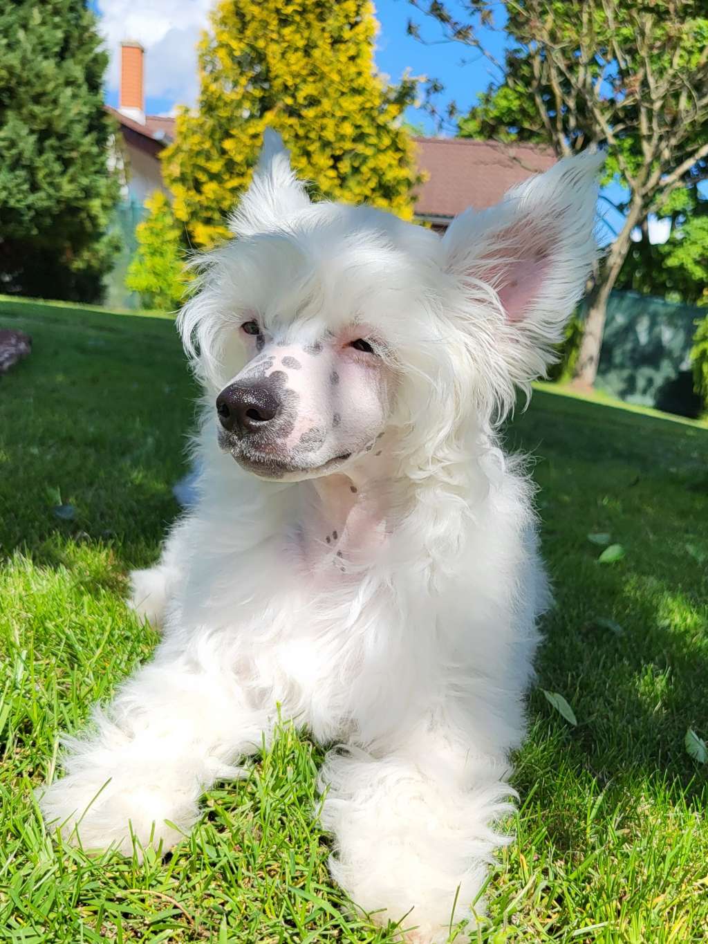 Brianna calima elenis