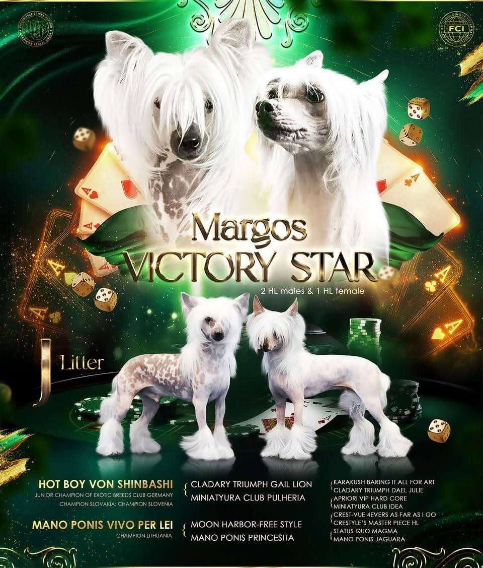 Margos Victory Star