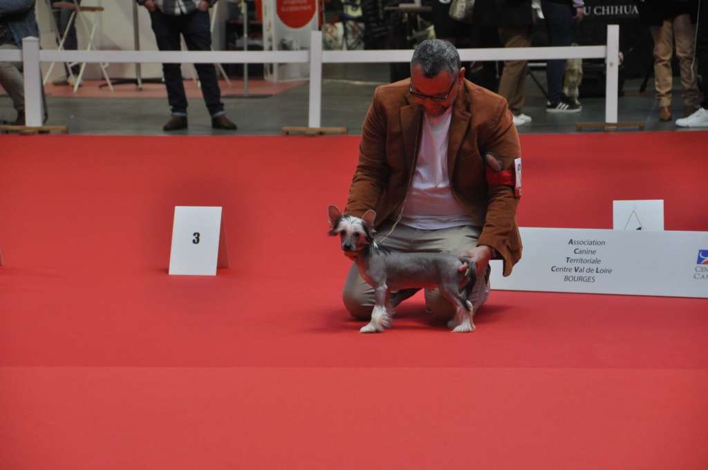 Moon Harbour Van Cleef