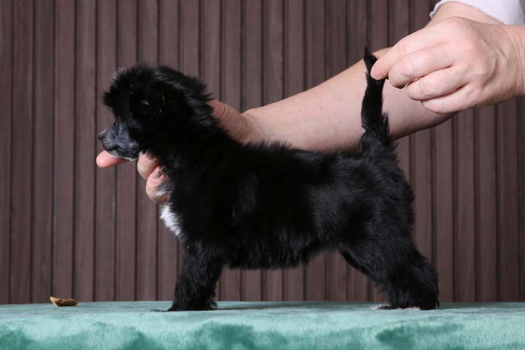 Incanto Del Mondo Naomi Campbell