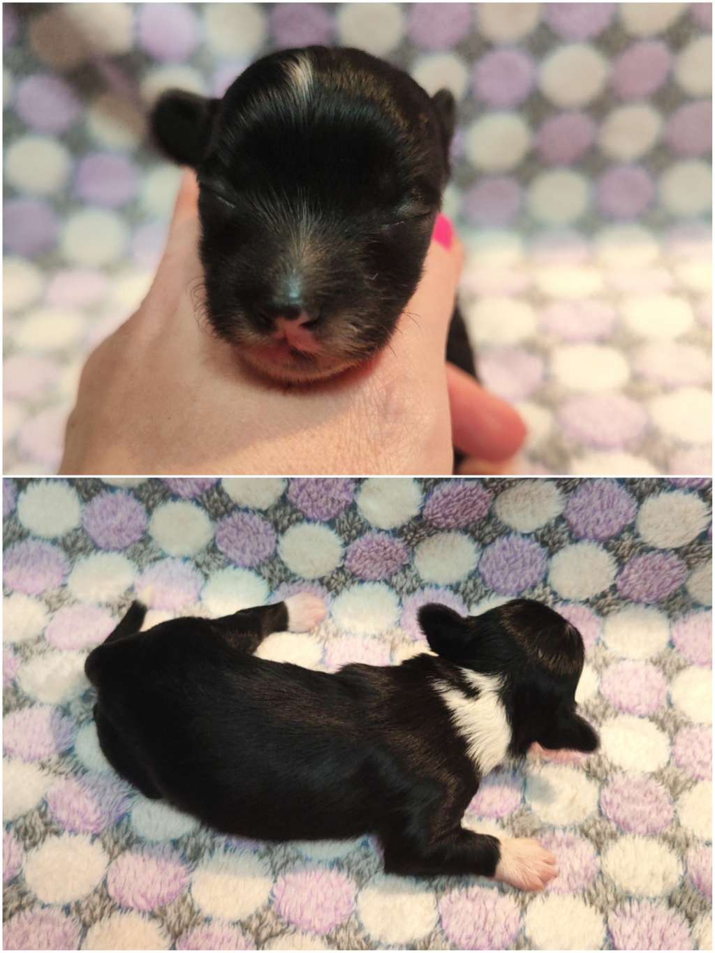 Naked Stars Keep Calm And Wear Couture