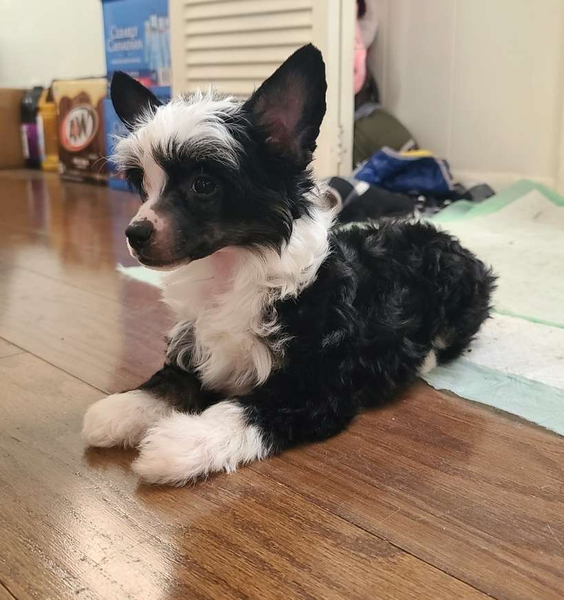 Long Haul's Riders On the Storm