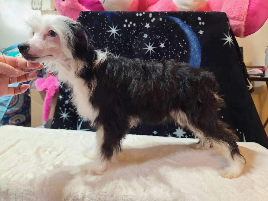 Long Haul's Walking on Sunshine