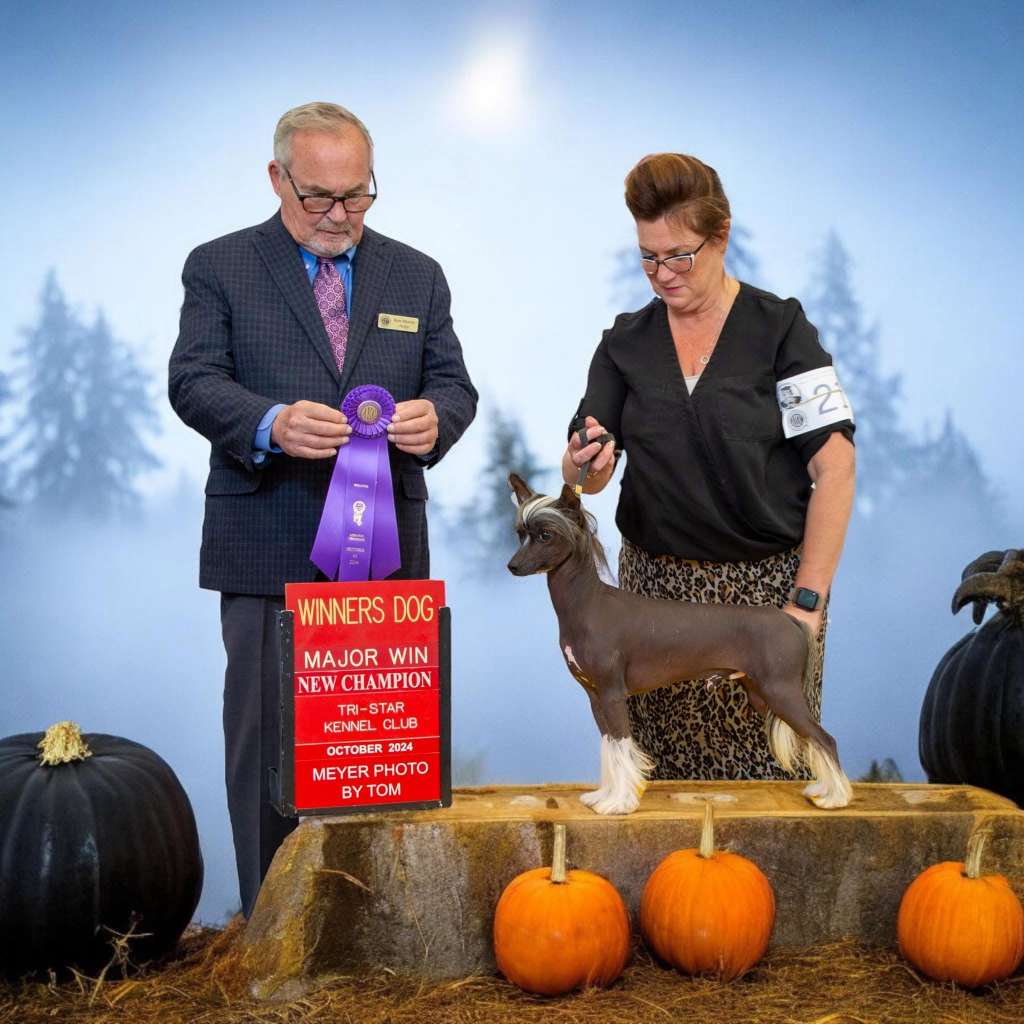 Ketos All Trouble No Stubble