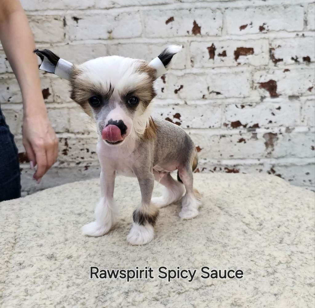 Rawspiri Spicy Sauce