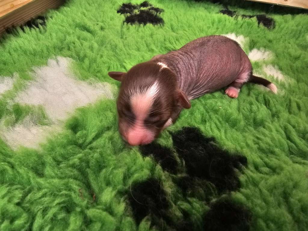 Saraasar Jaadoo A Day to Remember