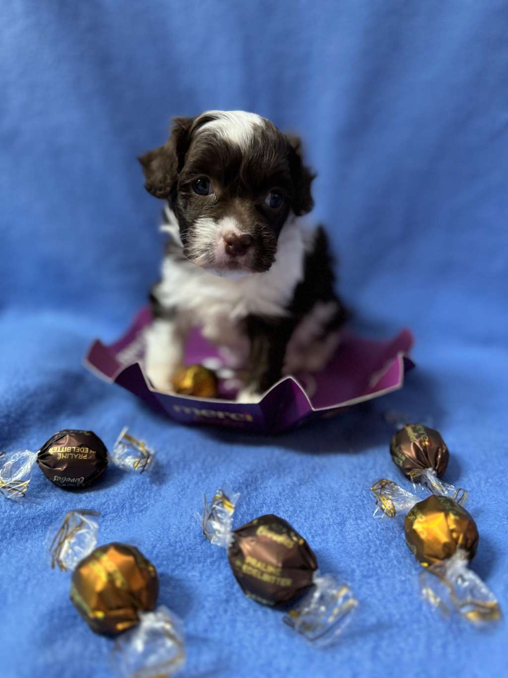 Saraasar Jaadoo Avicii