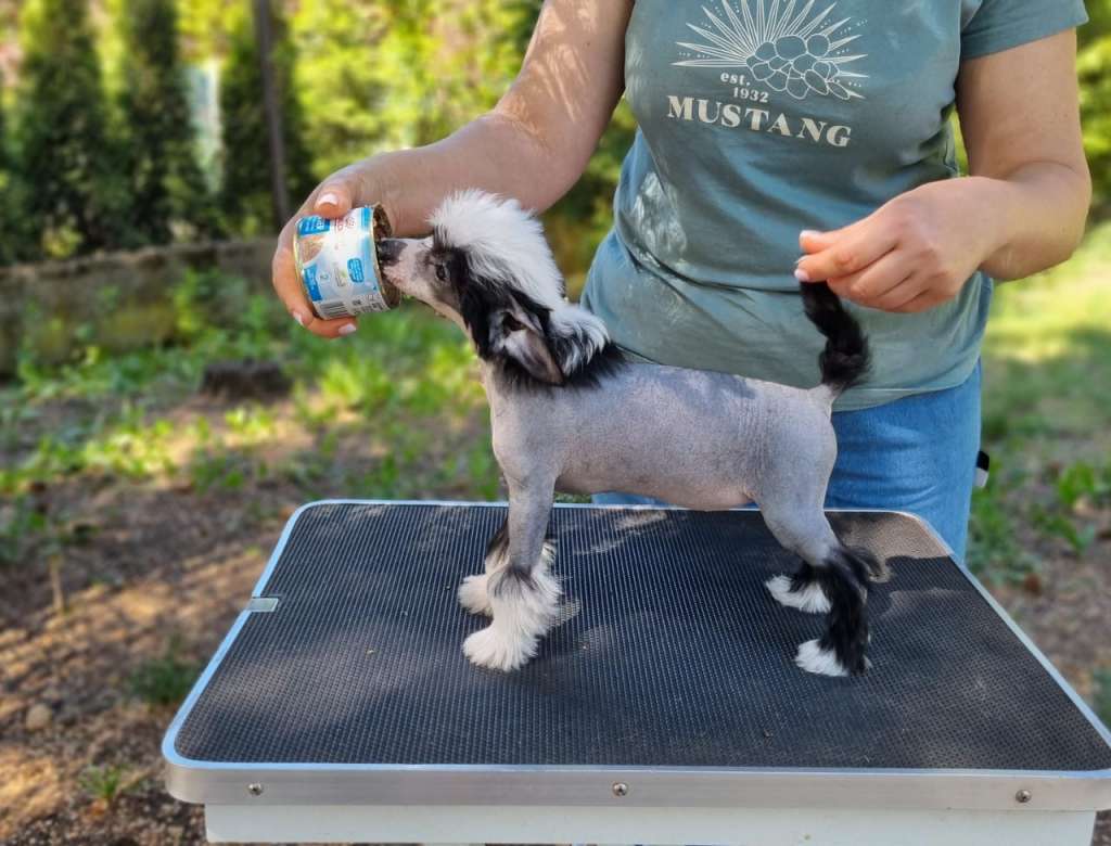 AkDeniz Feel the Force