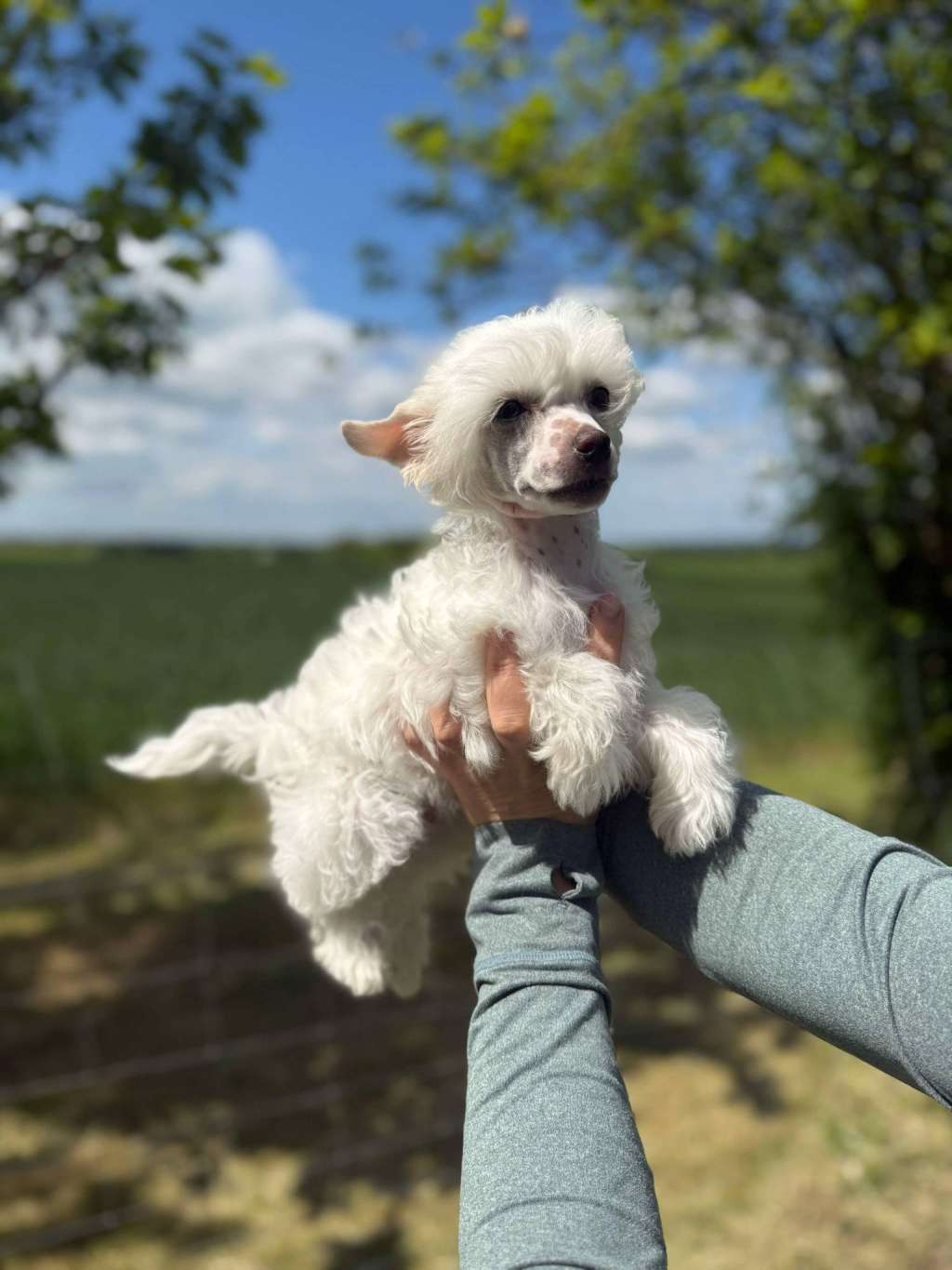 Leed's Infinity Mazy Dalio