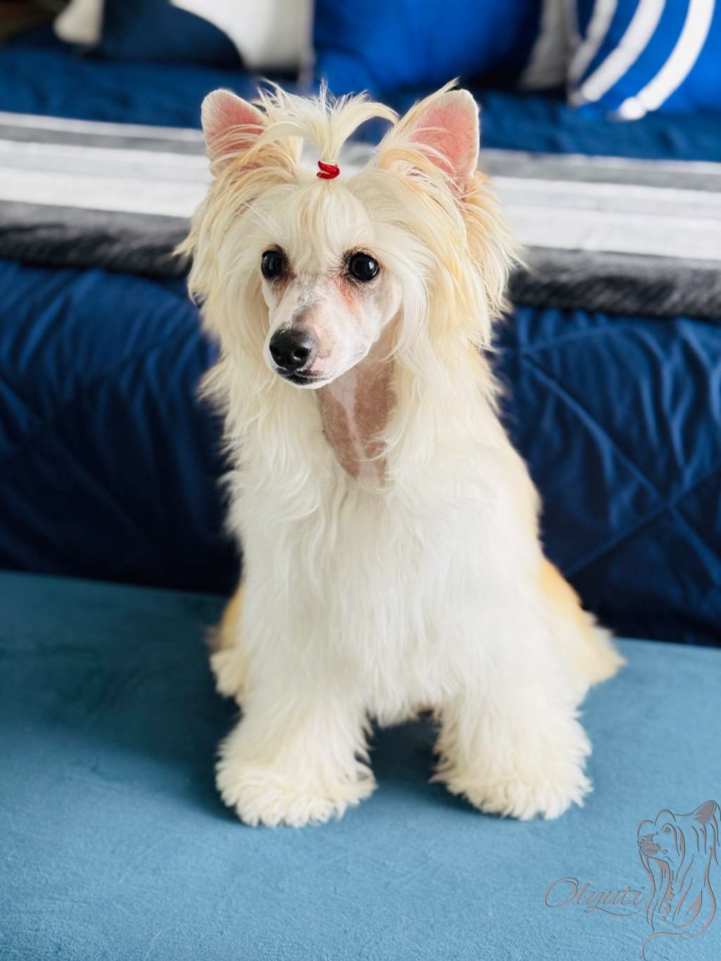 Olyuti's One A Sweet And Salty Caramel