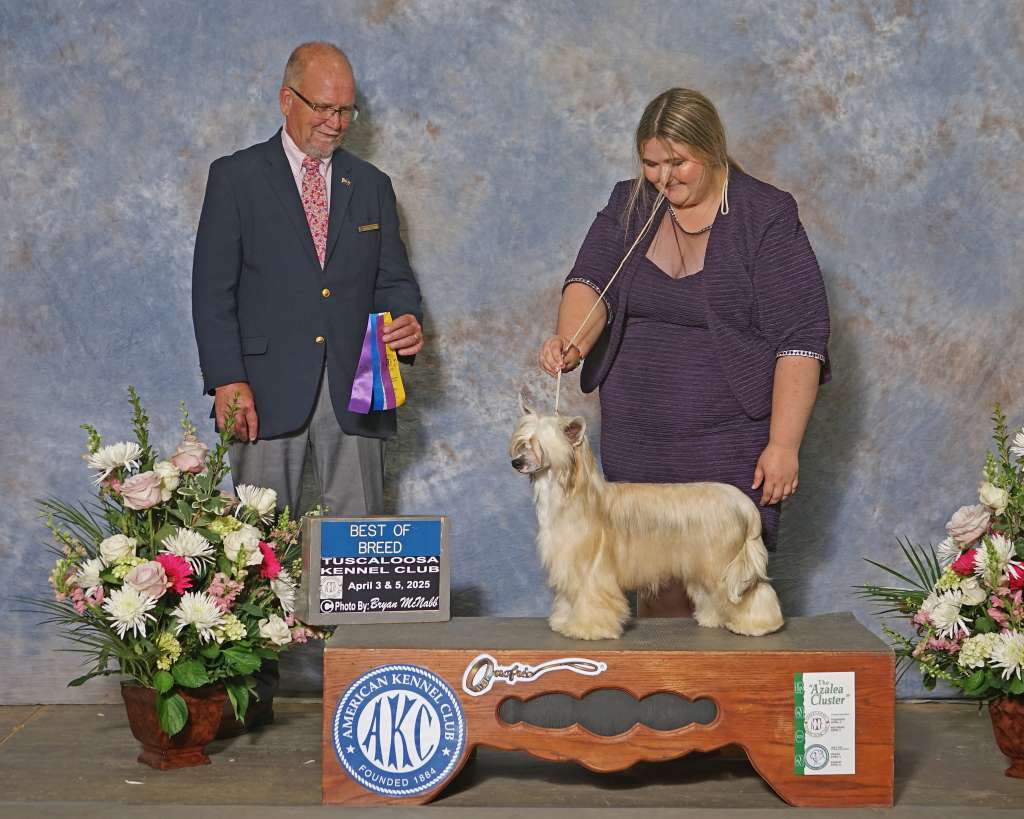 Kaylen Ariellas Axx to Grind