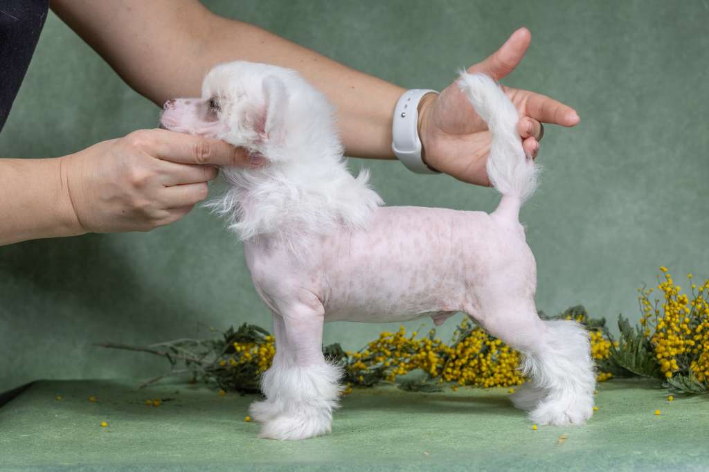 Marydance Quinlan Road