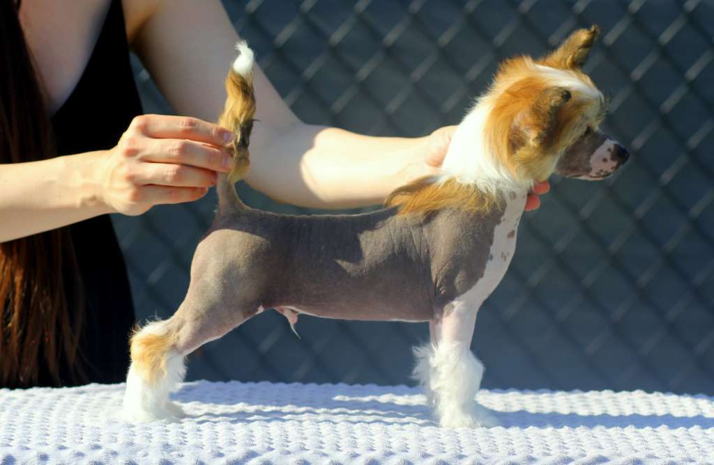 Jeden Na Milion Pretensja