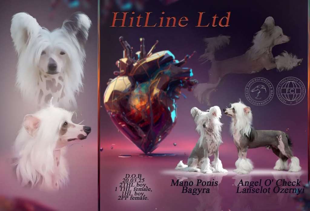 Hitline Ltd Keanu Reeves