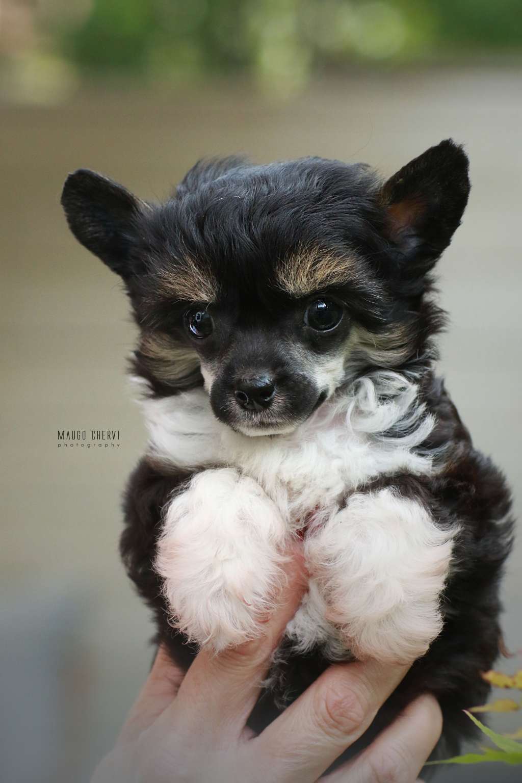 Nathalie Insolite Familier