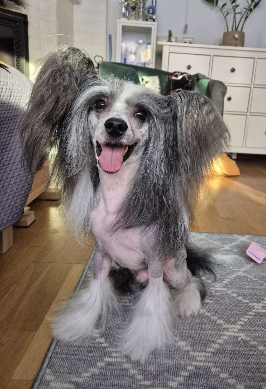 Viuvaun Xpect The Best